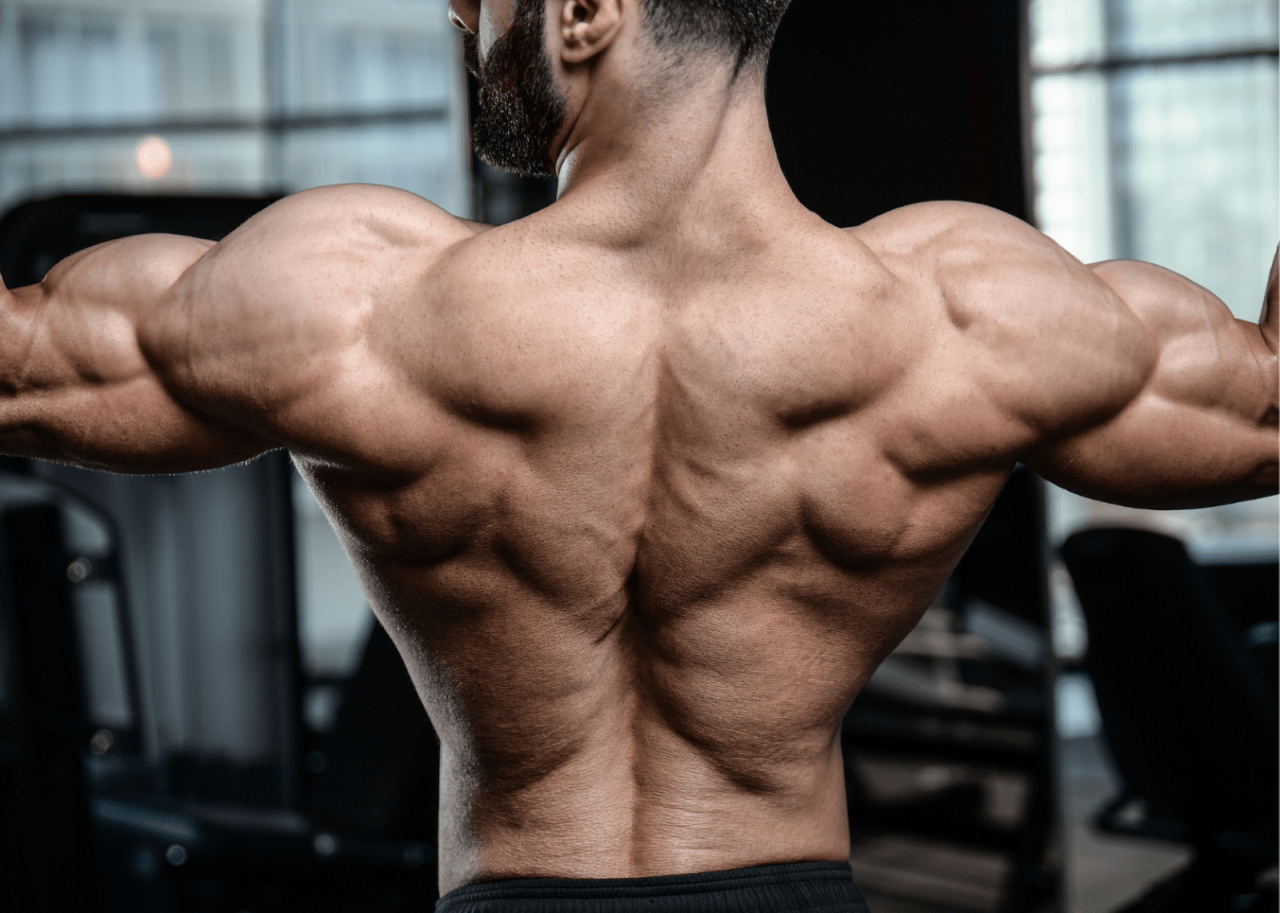 Newbie Gains | Explode Muscle Growth and Shed Fat at the Same Time