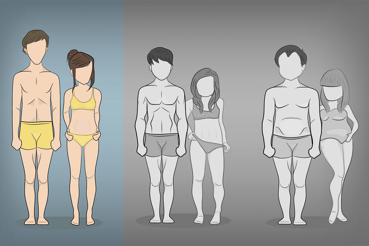 What is an ectomorph?